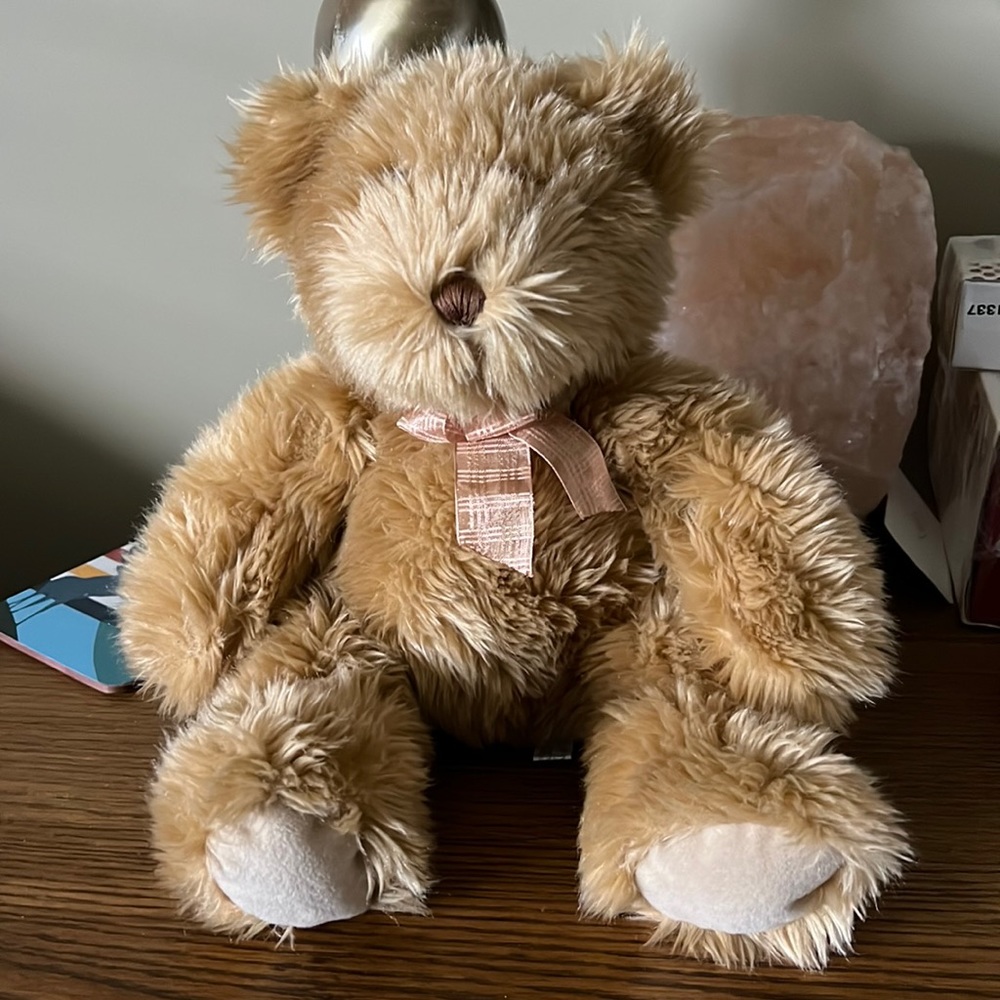 CIRCUS CIRCUS PLUSH TEDDY BEAR